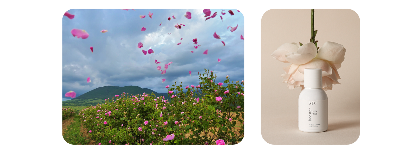 mvskintherapy.co.uk