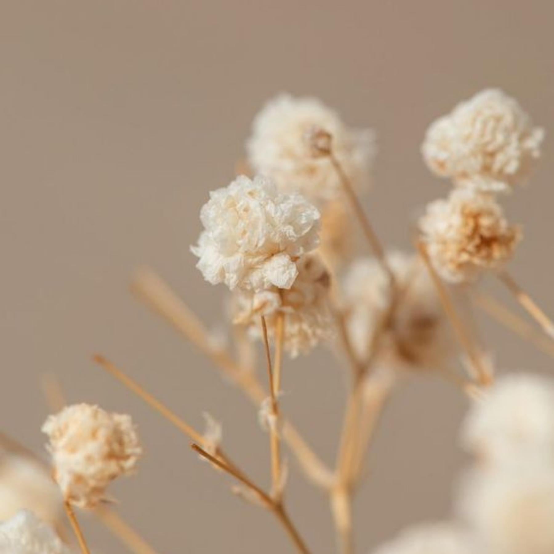 Eczema & Dermatitis